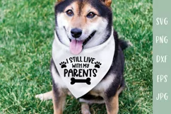 Funny Dog SVG | I Still Live With My Parents Dog Bandana Product Image 1