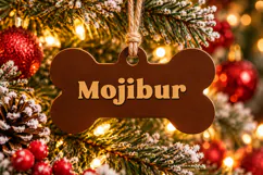 Dog Bone Monogram Ornament SVG File, Christmas Laser Cut Product Image 1