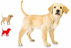 Pet Digital Paint Effect Product Image 4