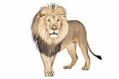 Pet Digital Paint Effect Product Image 8