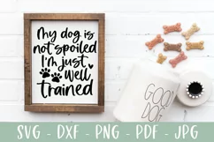 Funny Dog SVG | My Dog Is Not Spoiled I'm Just Well Trained Product Image 1