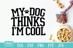 My Dog Thinks I'm Cool - Funny Dog SVG Product Image 2