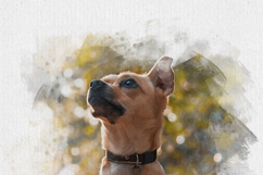 Dog Watercolor Photo Effect Product Image 4