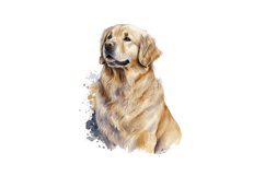Watercolor Golden Dog Clipart,commercial use,watercolor clipart,clipart bundle,dog clipart,puppy clipart,dog digital stickers,dog sticker,birthday dog gift,watercolor dogs,dog wallart,dog lover clipart,dog portrait,dogs clip art,watercolor clipart,commerc