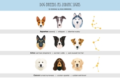 Zodiac signs and dog breeds clipart Horoscope signs PNG Product Image 2