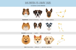Zodiac signs and dog breeds clipart Horoscope signs PNG Product Image 3