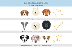 Zodiac signs and dog breeds clipart Horoscope signs PNG Product Image 4
