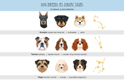 Zodiac signs and dog breeds clipart Horoscope signs PNG Product Image 5