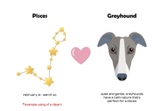 Zodiac signs and dog breeds clipart Horoscope signs PNG Product Image 7