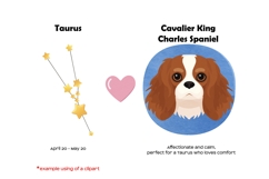 Zodiac signs and dog breeds clipart Horoscope signs PNG Product Image 9