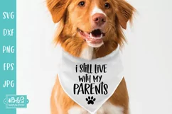 I Still Live With My Parents SVG for Cricut or Silhouette