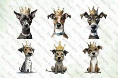 Dog Wearing Crown Sublimation Bundle Product Image 3