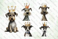 Dog Wearing Crown Sublimation Bundle Product Image 2