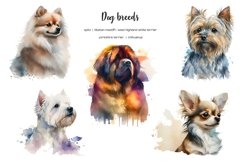 Watercolor dog breeds clipart. Dogs clip art. Dog types Product Image 7