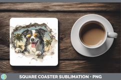 GorgeousDogs 3D Palm Tree Hole in he Wall Square Coaster design.