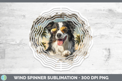 GorgeousDogs 3D Palm Tree Hole in he Wall Wind Spinner design.