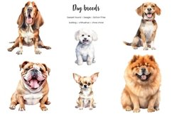 Watercolor 25 dog breeds clipart. Dogs clip art. Dog types Product Image 2
