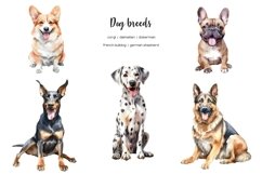 Watercolor 25 dog breeds clipart. Dogs clip art. Dog types Product Image 3
