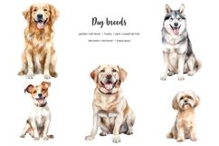 Watercolor 25 dog breeds clipart. Dogs clip art. Dog types Product Image 4