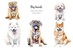 Watercolor 25 dog breeds clipart. Dogs clip art. Dog types Product Image 5