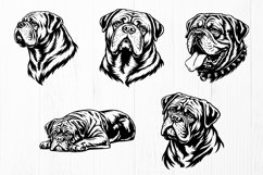 Dogue de Bordeaux SVG Bundle | French Mastiff Dog Portrait Product Image 4