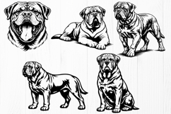 Dogue de Bordeaux SVG Bundle | French Mastiff Dog Portrait Product Image 2