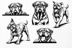 Dogue de Bordeaux SVG Bundle | French Mastiff Dog Portrait Product Image 3