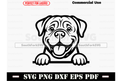 Peeking Dogue de Bordeaux Dog SVG PNG DXF EPS PDF Product Image 1
