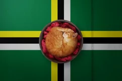 Backgrounds for Photography & Marketing. Dominica Product Image 8