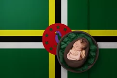 Backgrounds for Photography & Marketing. Dominica Product Image 6