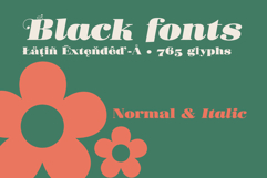 Donaire | Regular &amp; Italic | Ornaments Product Image 6