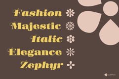 Donaire | Regular &amp; Italic | Ornaments Product Image 9