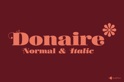 Donaire | Regular &amp; Italic | Ornaments Product Image 4