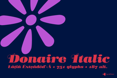 Donaire | Regular &amp; Italic | Ornaments Product Image 2