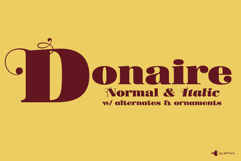 Donaire | Regular &amp; Italic | Ornaments Product Image 1