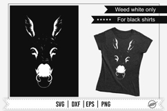 Donkey for black shirts/surfaces Product Image 1