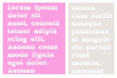 Doohickey Patriot Font Family Product Image 8