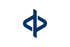 DP PD Logo Design Product Image 1