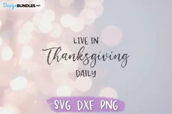 Thanksgiving SVG, Farmhouse Sign, Live in Thanksgiving Daily Product Image 2