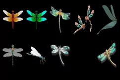 50 DRAGONFLY TRANSPARENT PNG FILE ANIMALS PHOTOSHOP OVERLAYS Product Image 2