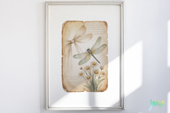 Dragonfly Junk Journal Page Clipart Product Image 5