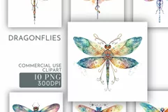 Dragonfly Clipart | Watercolour Clipart PNG Product Image 1