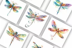 Dragonfly Clipart | Watercolour Clipart PNG Product Image 3