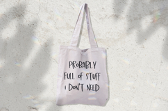 Dream Believer Sans Product Image 8