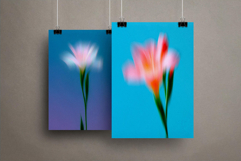 Dream Haze Flower Posters Collection Product Image 2