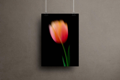 Dream Haze Flower Posters Collection Product Image 4