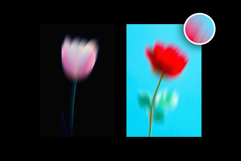 Dream Haze Flower Posters Collection Product Image 5