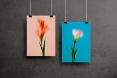 Dream Haze Flower Posters Collection Product Image 6