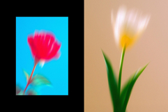 Dream Haze Flower Posters Collection Product Image 7