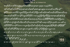 Dream Routes - Modern Calligraphy Script Product Image 19